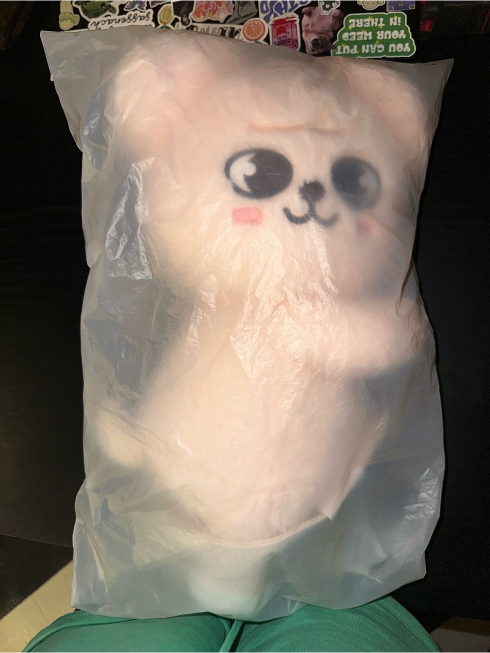 Official Stray Kids Skzoo PuppyM Seungmin Plush Crossbody Bag NEW